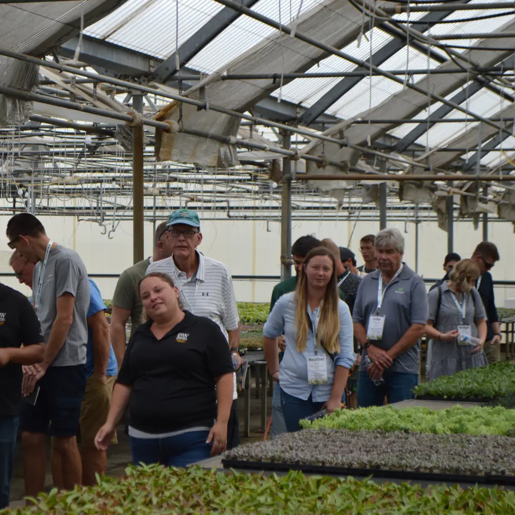 Plug & Cutting Tour in greenhouse operations