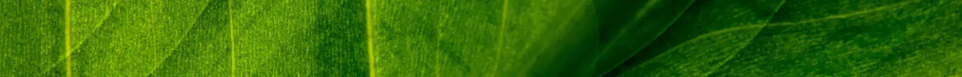 Header-BG-Abstract